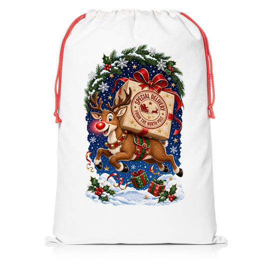 Special Delivery from the North Pole Santa Sack from Resendez Gift Shop