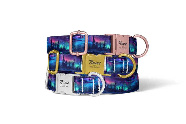 Dog Collars