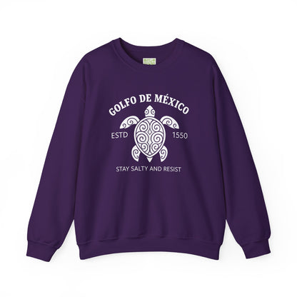 Stay Salty and Resist Turtle Sweatshirt, Gulf of Mexico, Democrat Tee, Resistance Shirt, Social Justice