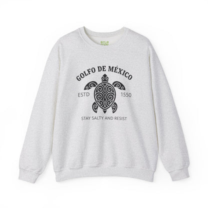 Stay Salty and Resist Turtle Sweatshirt, Gulf of Mexico, Democrat Tee, Resistance Shirt, Social Justice