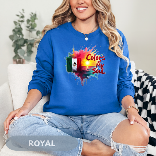 Mexico Colors of My Soul Sweatshirt, Viva La Vida, Soy Mexicano, No Human Is Illegal, Resist with Mexican Power, Chicano Power, FDT