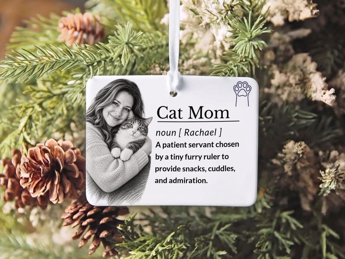 Cat Mom Ornament: Cat Mom Gift Idea, Personalized Pet Christmas Gift, Unique Ceramic Holiday Keepsake Stocking Stuffer 2026