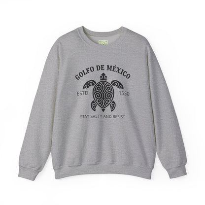 Stay Salty and Resist Turtle Sweatshirt, Gulf of Mexico, Democrat Tee, Resistance Shirt, Social Justice
