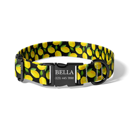 Classic Lemon Print Personalized Dog Collar with Quick Release Buckle, Adjustable Everyday Fruit Collar RET-618-06