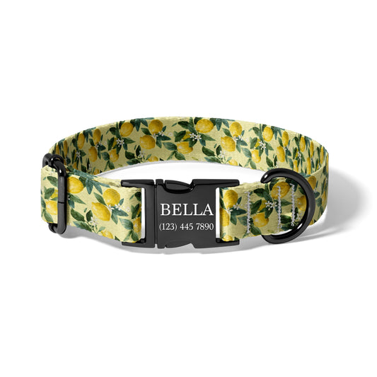 Fresh Lemon Orchard Personalized Dog Collar with Name Engraving, Adjustable Citrus Quick Release Collar RET-618-03
