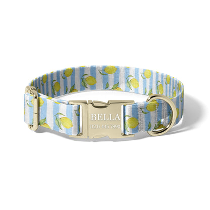 Blue Lemon Stripe Personalized Dog Collar with Laser Engraved Buckle, Coastal Adjustable Pet Collar RET-618-02