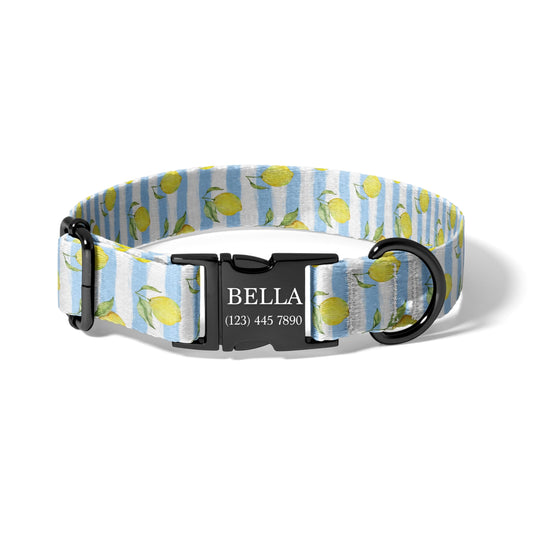 Blue Lemon Stripe Personalized Dog Collar with Laser Engraved Buckle, Coastal Adjustable Pet Collar RET-618-02