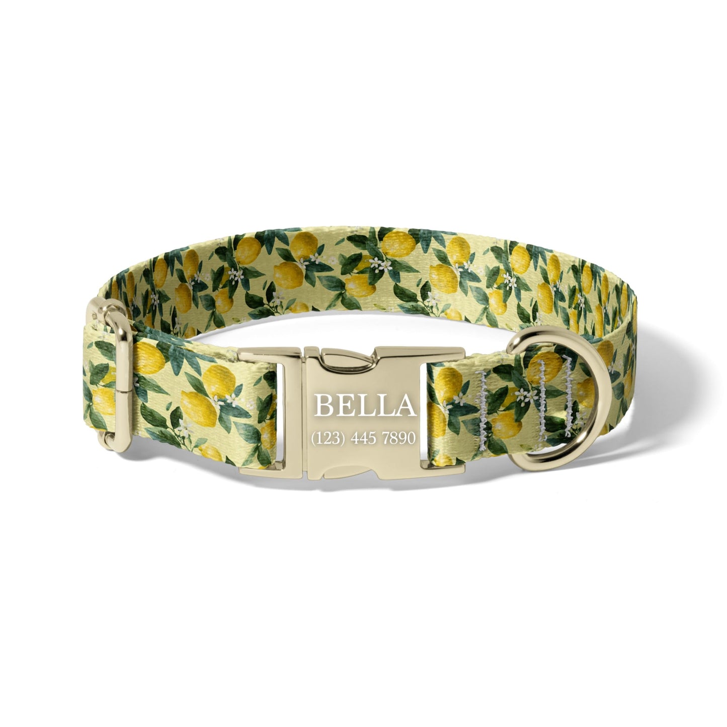 Fresh Lemon Orchard Personalized Dog Collar with Name Engraving, Adjustable Citrus Quick Release Collar RET-618-03