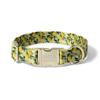 Fresh Lemon Orchard Personalized Dog Collar with Name Engraving, Adjustable Citrus Quick Release Collar RET-618-03