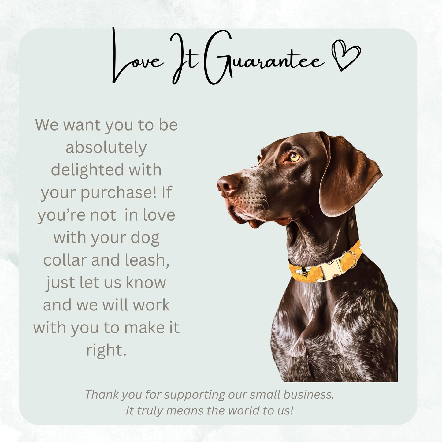 Personalized Bee Dog Collar Custom Engraved Boho Bee Adjustable Quick Release Collar RET-611-05