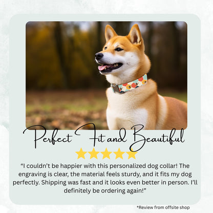 Personalized Bee Dog Collar Custom Engraved Stripe Bee Adjustable Quick Release Collar RET-611-02