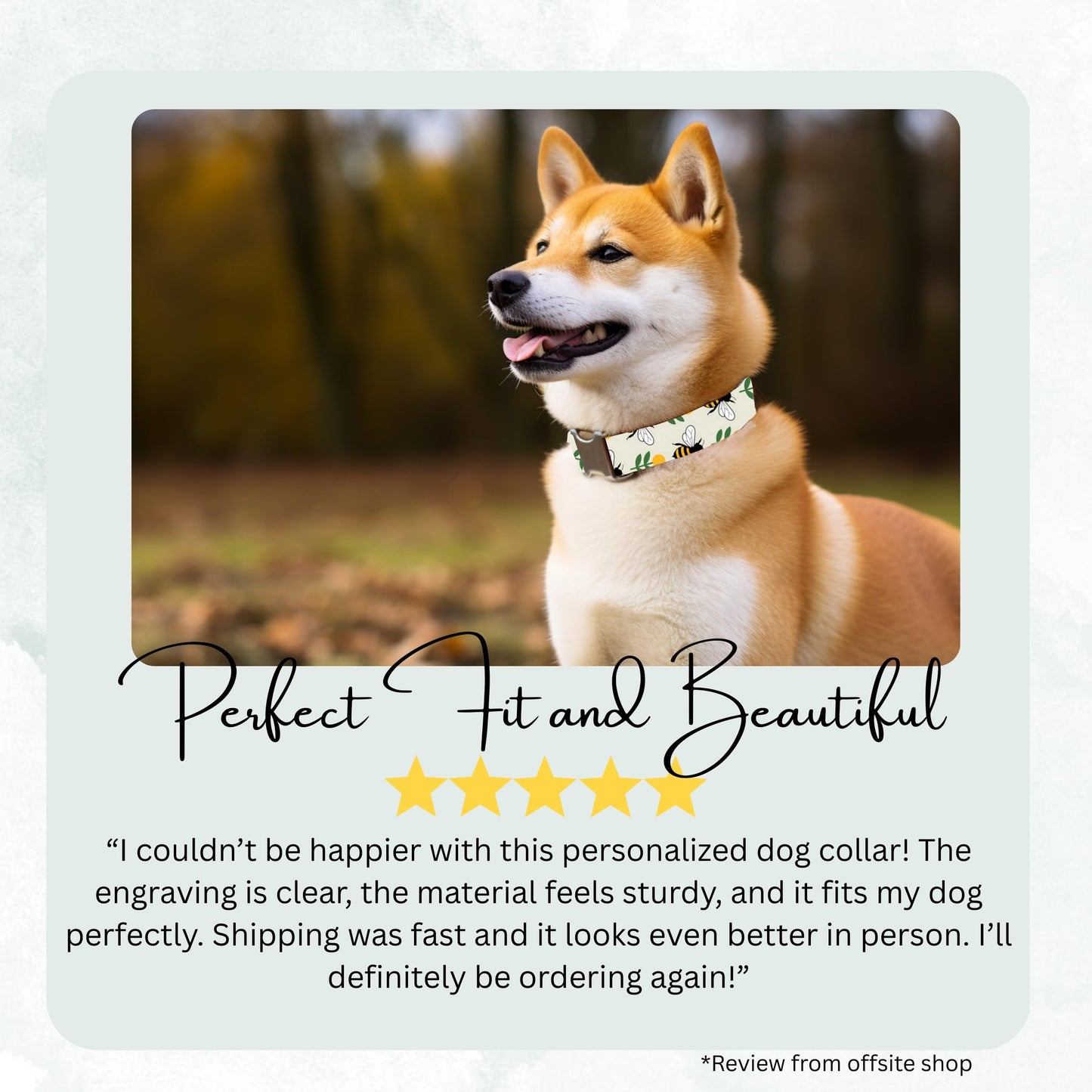 Personalized Bee Dog Collar Custom Engraved Bold Bee Adjustable Quick Release Collar RET-611-06