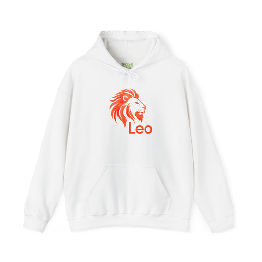 Leo Zodiac Hoodie, Astrology Sweatshirt, Birthday Gift, Unisex Pullover, Horoscope Apparel, Comfortable Style