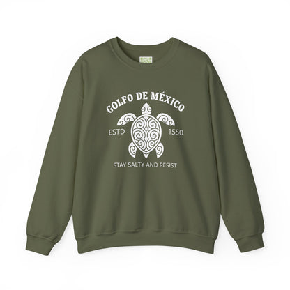 Stay Salty and Resist Turtle Sweatshirt, Gulf of Mexico, Democrat Tee, Resistance Shirt, Social Justice