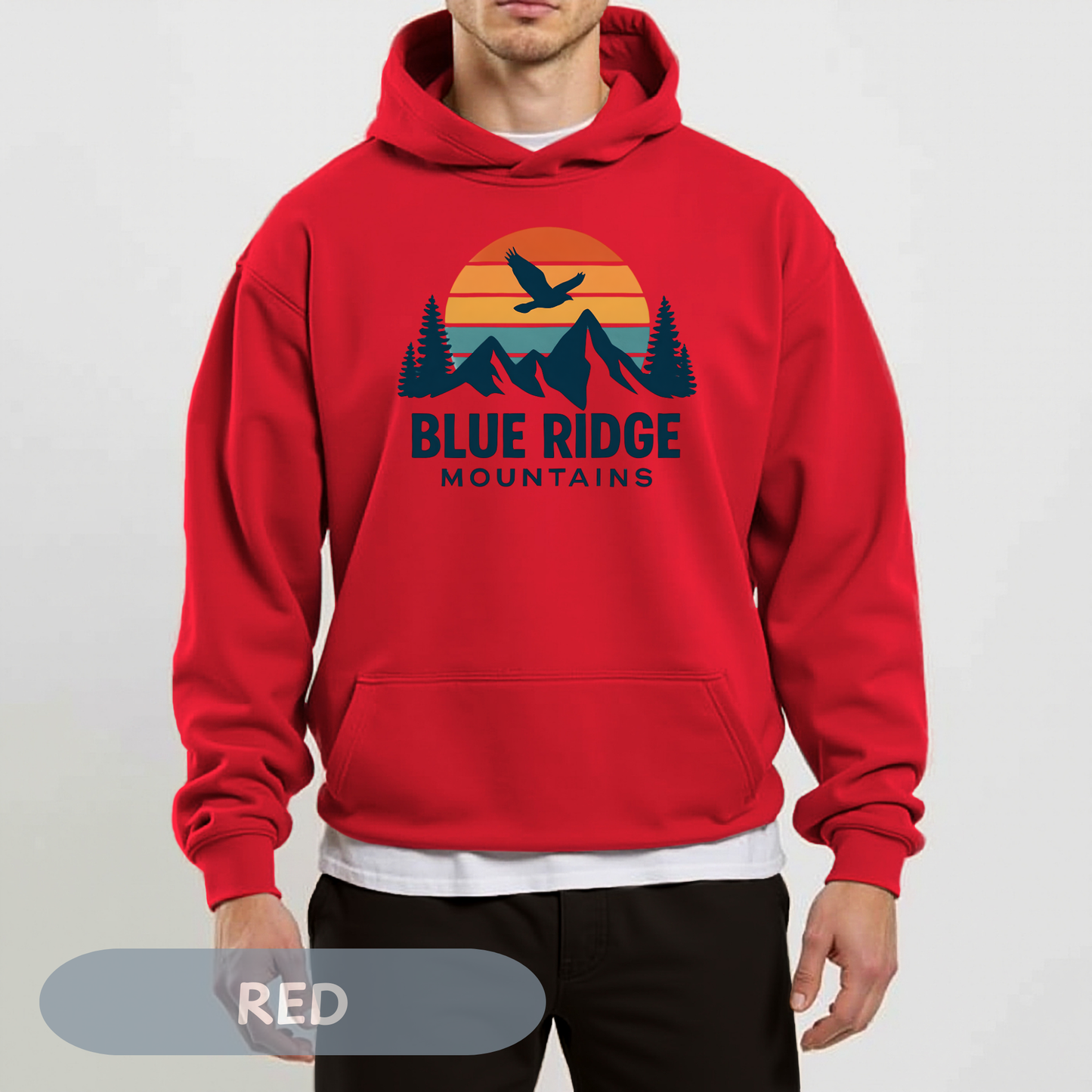 Blue Ridge Parkway Hoodie, Blueridge Sweatshirt, Blue Ridge Mountains, Asheville Sweatshirt, North Carolina Shirt