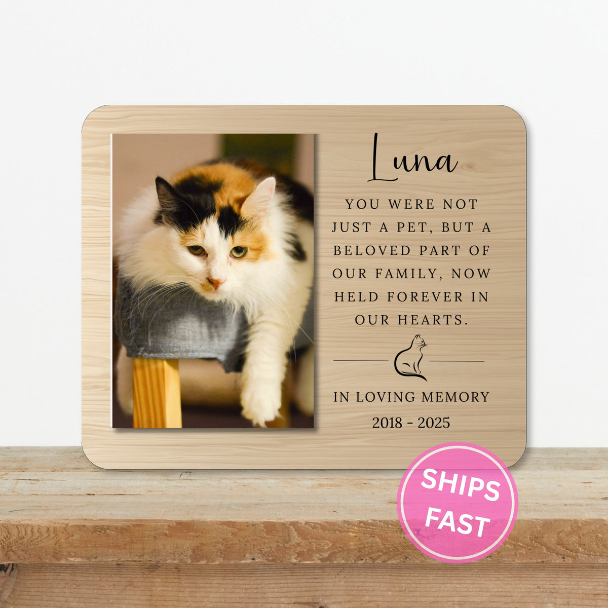 Cat Memorial Gift, Personalized Pet Owner Photo Board, Custom Pet Owner Picture Board, Pet Loss Keepsake, Sympathy Photo Gift Custom Gift personalized photo board — image 2 of 13