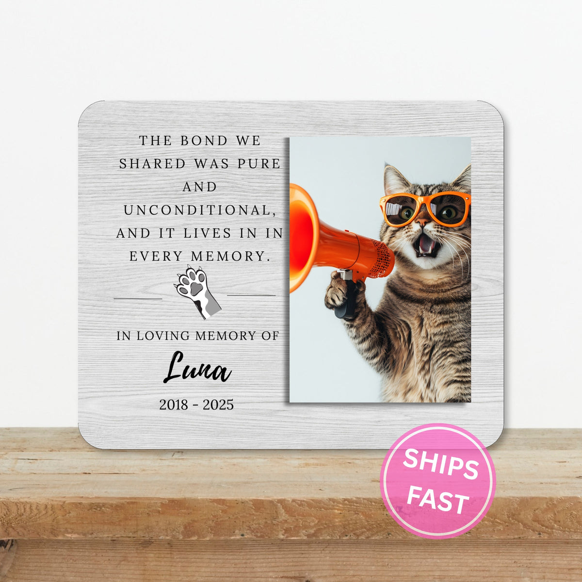 Pet Memorial Gift, Personalized Pet Owner Photo Board, Custom Pet Owner Picture Board, Pet Loss Keepsake, Sympathy Photo Gift Custom Gift personalized photo board — image 2 of 13