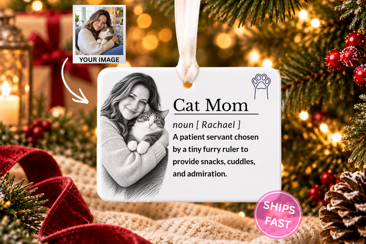 Cat Lady Ornament: Funny Cat Lady Gifts, Christmas Keepsake Gift for Pet Lovers, Custom Ceramic Pet Stocking Stuffer 2026