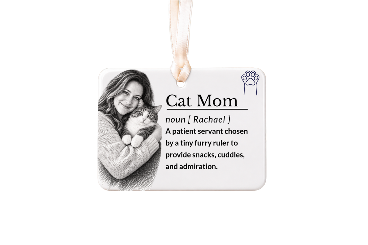 Cat Lady Ornament: Funny Cat Lady Gifts, Christmas Keepsake Gift for Pet Lovers, Custom Ceramic Pet Stocking Stuffer 2026