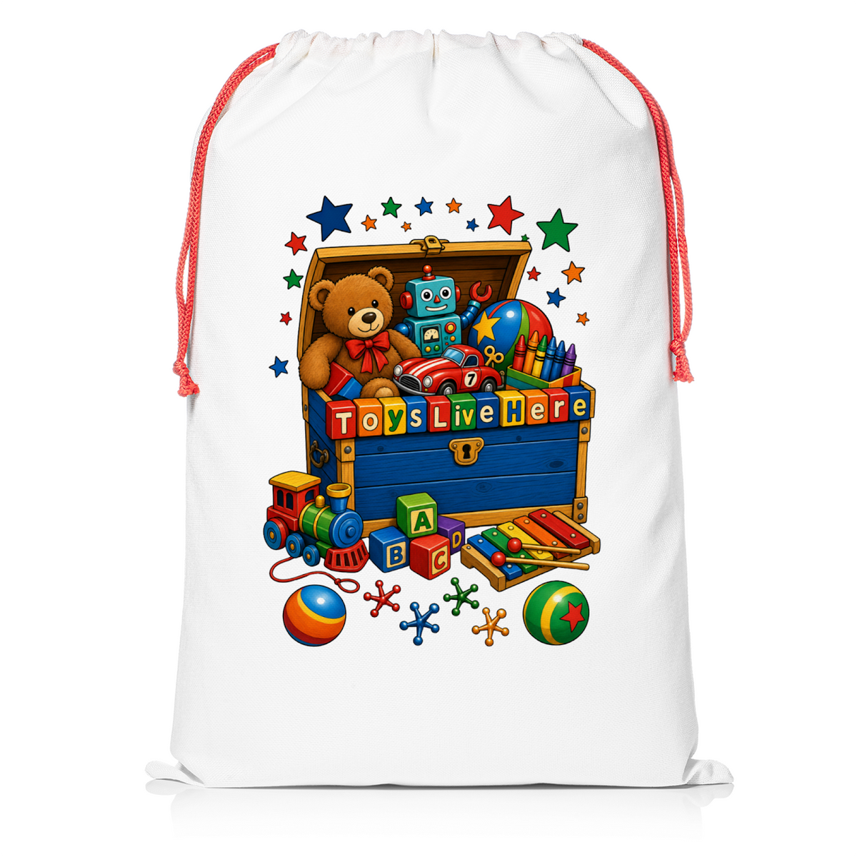 Toys Live Here Playroom Storage Sack
