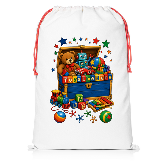 Toys Live Here Playroom Storage Sack