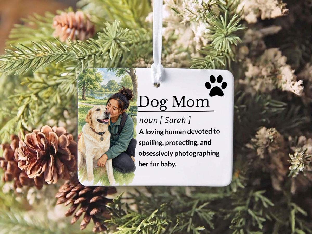 Cat Mom Ornament: Cat Mom Gift Idea, Personalized Pet Christmas Gift, Unique Ceramic Holiday Keepsake Stocking Stuffer 2026