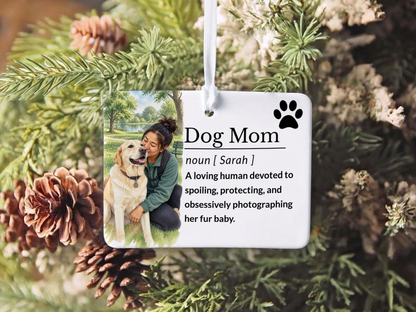 Cat Mom Ornament: Cat Mom Gift Idea, Personalized Pet Christmas Gift, Unique Ceramic Holiday Keepsake Stocking Stuffer 2026